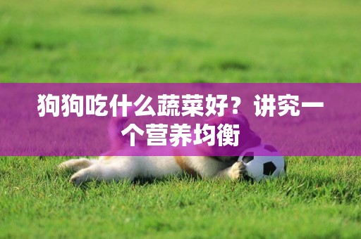 狗狗吃什么蔬菜好？講究一個營養均衡