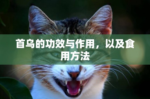 首烏的功效與作用，以及食用方法