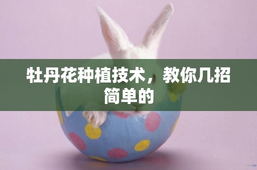 牡丹花種植技術，教你幾招簡單的
