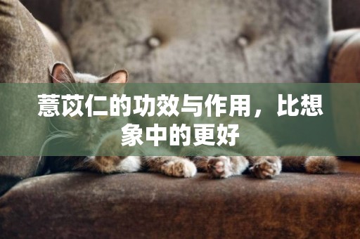 薏苡仁的功效與作用，比想象中的更好