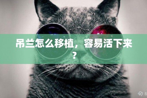 吊蘭怎么移植，容易活下來？