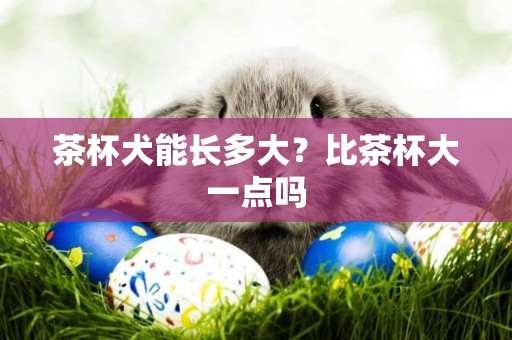 茶杯犬能長多大？比茶杯大一點嗎