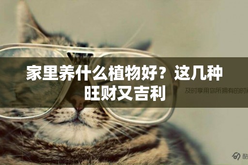 家里養什么植物好？這幾種旺財又吉利