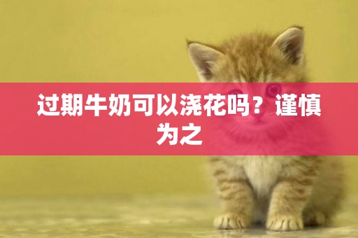 過期牛奶可以澆花嗎？謹慎為之