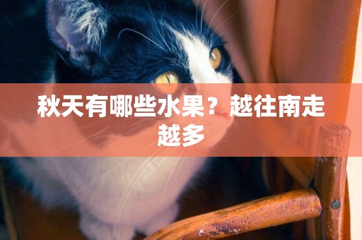 秋天有哪些水果？越往南走越多