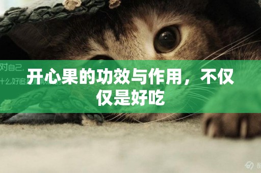 開心果的功效與作用，不僅僅是好吃