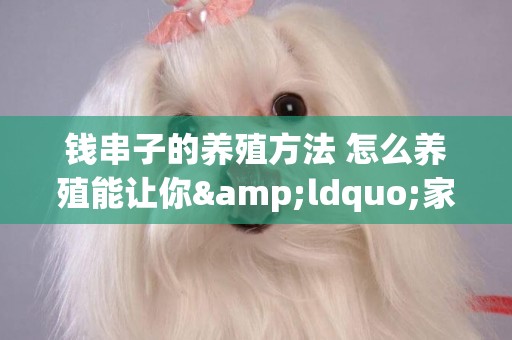 錢串子的養殖方法 怎么養殖能讓你&ldquo;家纏萬貫&rdquo;
