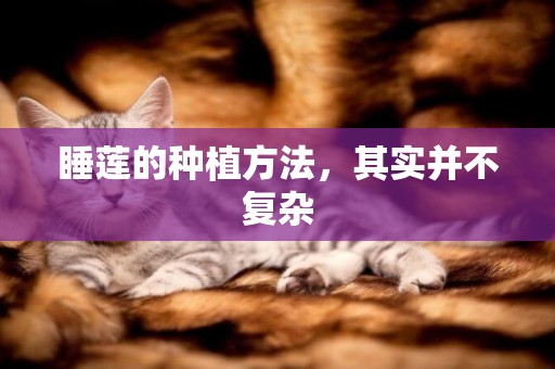 睡蓮的種植方法，其實并不復雜