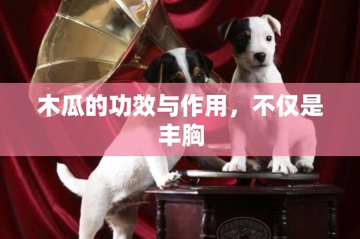 木瓜的功效與作用，不僅是豐胸