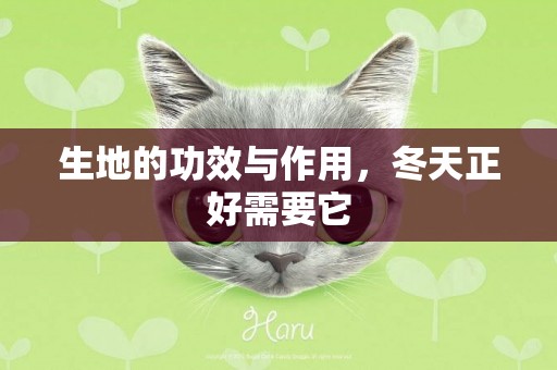 生地的功效與作用，冬天正好需要它