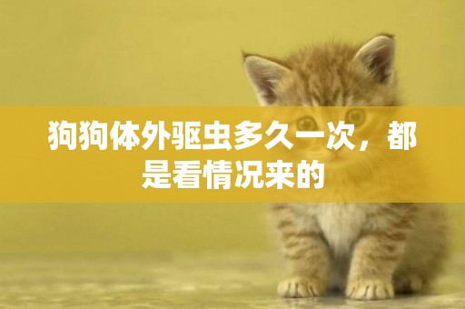 狗狗體外驅蟲多久一次，都是看情況來的