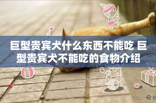 巨型貴賓犬什么東西不能吃 巨型貴賓犬不能吃的食物介紹