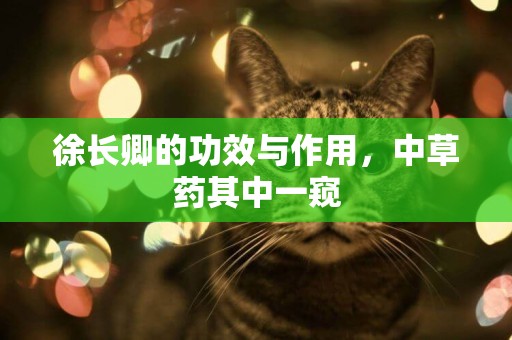 徐長卿的功效與作用，中草藥其中一窺
