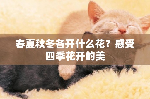 春夏秋冬各開什么花？感受四季花開的美