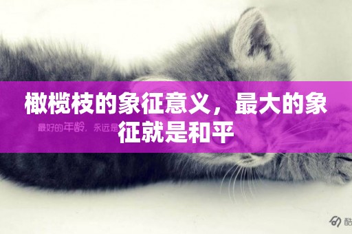 橄欖枝的象征意義，最大的象征就是和平