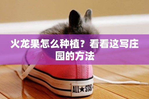 火龍果怎么種植？看看這寫莊園的方法