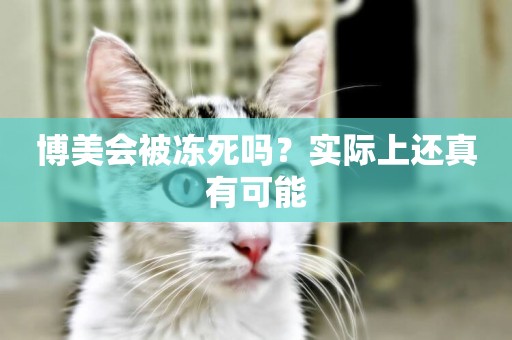 博美會被凍死嗎？實際上還真有可能