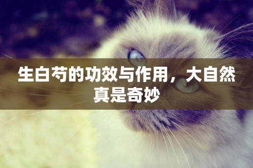 生白芍的功效與作用，大自然真是奇妙