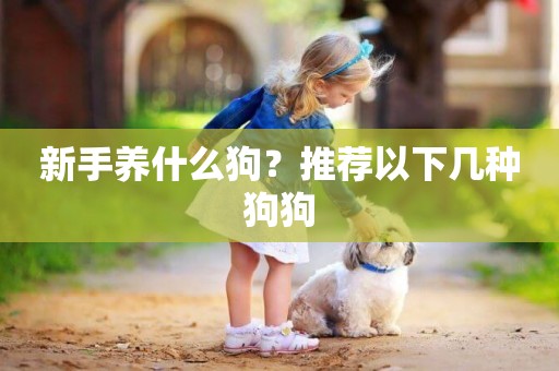 新手養什么狗？推薦以下幾種狗狗