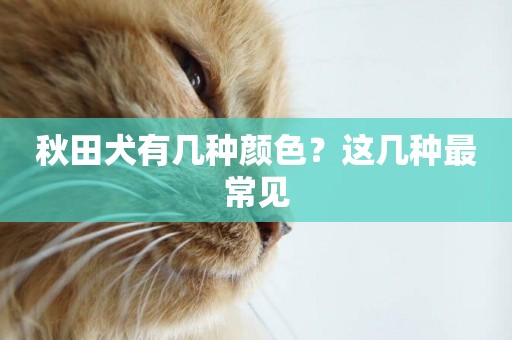 秋田犬有幾種顏色？這幾種最常見