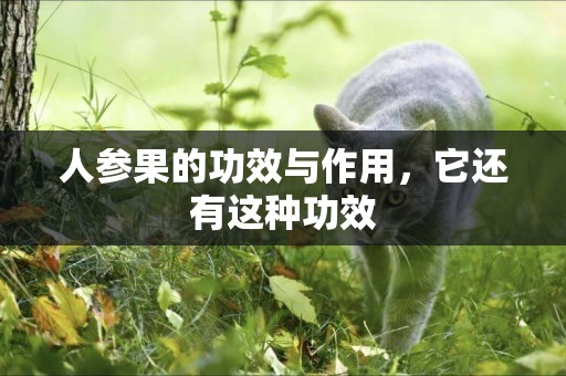 人參果的功效與作用，它還有這種功效