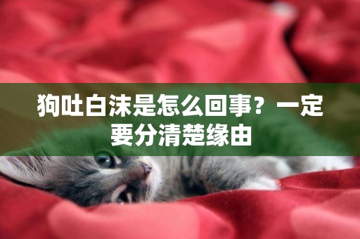 狗吐白沫是怎么回事？一定要分清楚緣由
