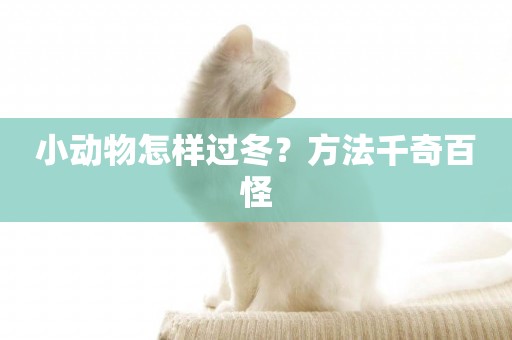 小動物怎樣過冬？方法千奇百怪