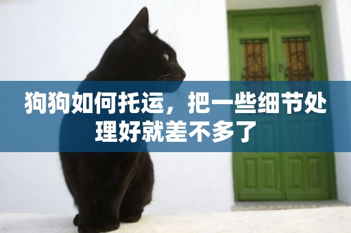 狗狗如何托運，把一些細節處理好就差不多了