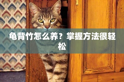 龜背竹怎么養？掌握方法很輕松