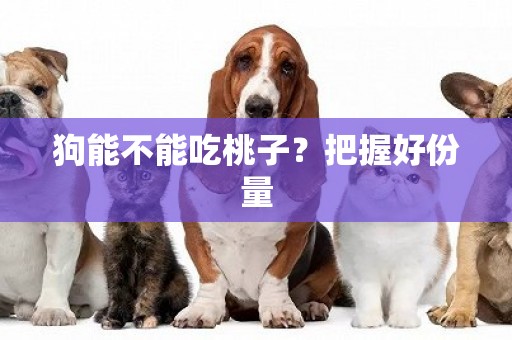 狗能不能吃桃子？把握好份量