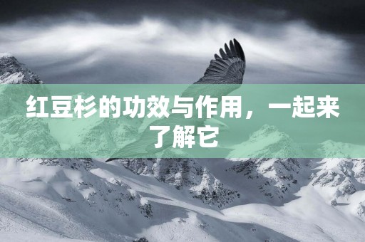 紅豆杉的功效與作用，一起來了解它