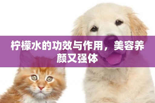 檸檬水的功效與作用，美容養顏又強體