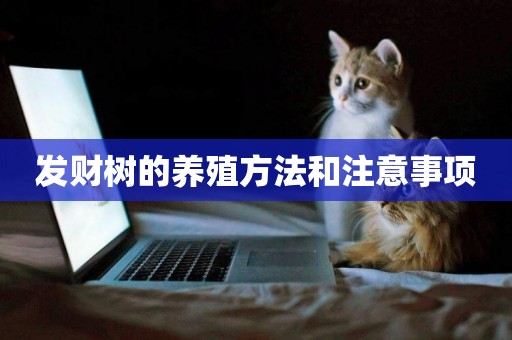 發財樹的養殖方法和注意事項