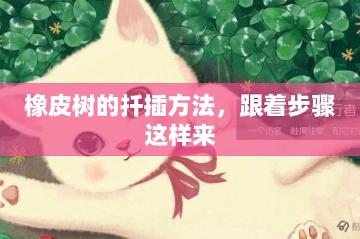 橡皮樹的扦插方法，跟著步驟這樣來