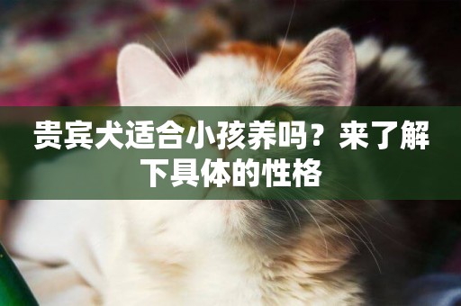 貴賓犬適合小孩養嗎？來了解下具體的性格