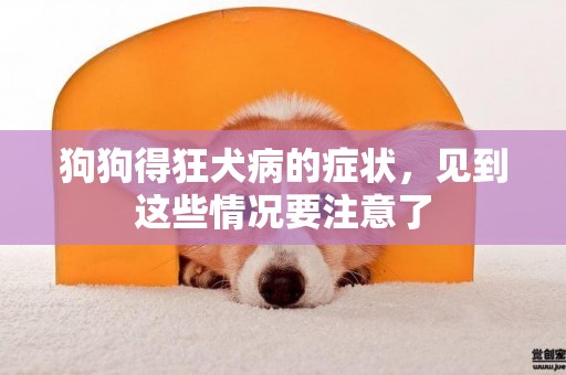 狗狗得狂犬病的癥狀，見到這些情況要注意了
