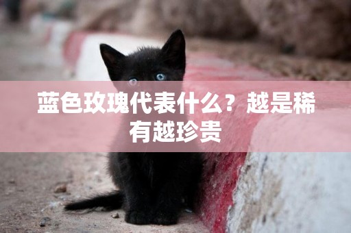 藍色玫瑰代表什么？越是稀有越珍貴