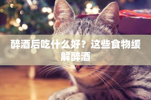 醉酒后吃什么好？這些食物緩解醉酒