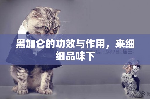 黑加侖的功效與作用，來細細品味下