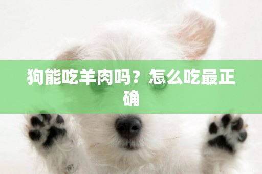 狗能吃羊肉嗎？怎么吃最正確