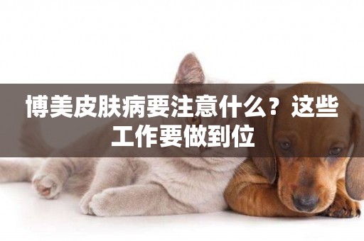 博美皮膚病要注意什么？這些工作要做到位