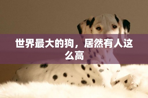 世界最大的狗，居然有人這么高