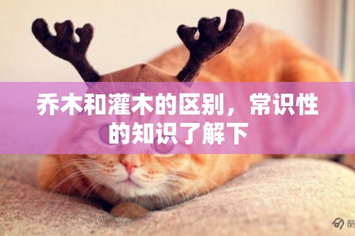喬木和灌木的區別，常識性的知識了解下