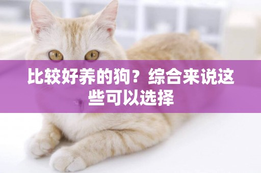 比較好養的狗？綜合來說這些可以選擇