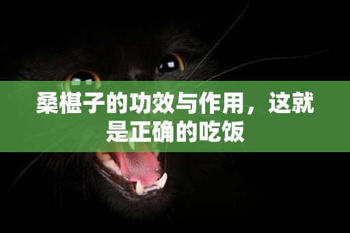 桑椹子的功效與作用，這就是正確的吃飯