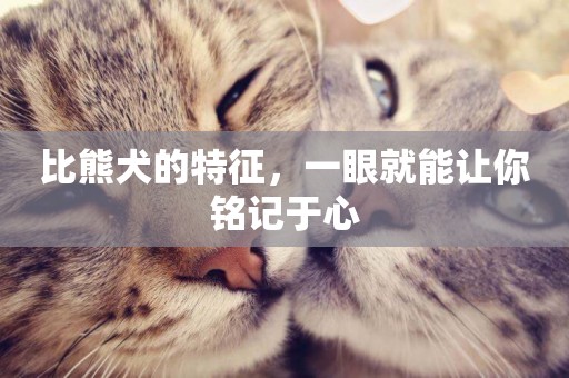 比熊犬的特征，一眼就能讓你銘記于心