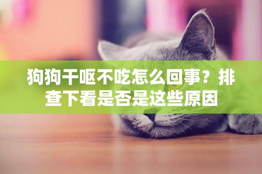 狗狗干嘔不吃怎么回事？排查下看是否是這些原因