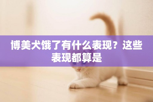 博美犬餓了有什么表現？這些表現都算是