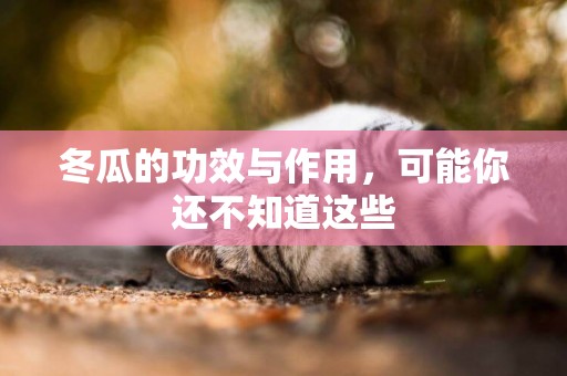 冬瓜的功效與作用，可能你還不知道這些