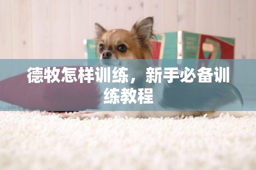 德牧怎樣訓練，新手必備訓練教程